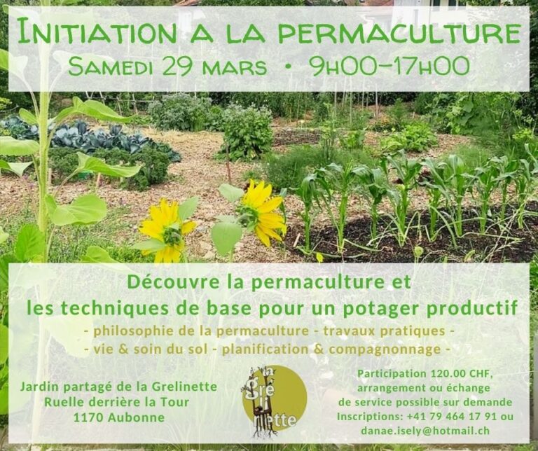 Initiation Perma 2025 768x644
