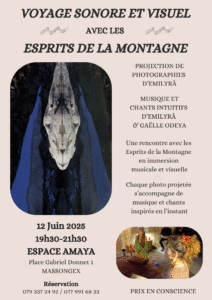 Voyage Visuel Sonore 212x300